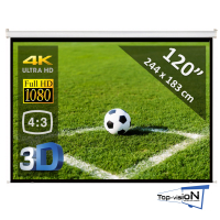Manual screen 120" - 305 cm (4:3) - economy 