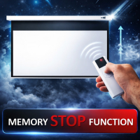  Ecran électrique 120" - 305 cm (16:9)