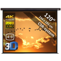 Manual screen 120" - 305 cm (4:3)