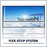  Ecran électrique 120" - 305 cm (16:9)