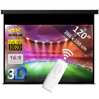  Ecran électrique 120" - 305 cm (16:9)
